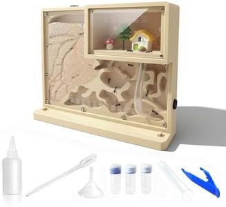 Sand Ant F