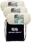 Lion Brand Knitting Yarn Hometown Houston Cream 3-Skein Factory Pack (Same Dye Lot) 135-98 Bundle with 1 Black Project Bag