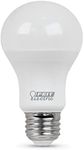 Feit Electric A19 LED Light Bulb, 6