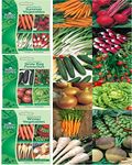 Grow Your Own Seed Kit of 12 Vegetable Seed Varieties Cucumber, Tomato, Onion, Lettuce, Beetroot, Radish, Brussels, Parsnip, Swede Variety Pack