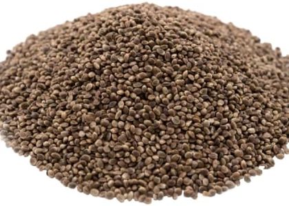 GERBS Roasted Unsalted Whole Hemp Seeds 2 LBS. Premium Grade | Resealable Bulk Bag |High in Magnesium, Protein & Fiber| Gluten Peanut Tree Nut Free