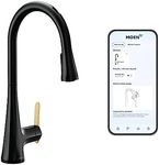 Moen Sinema Matte Black Smart Fauce