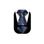 HISDERN Navy Blue Tie for Men Parrot Pattern Ties Handkerchief Novelty Animal Print Wedding Necktie & Pocket Square Set