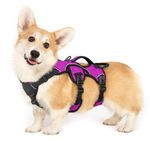 rabbitgoo Escape-Proof Dog Harness Small Dog with Handle, Anti-Pull Reflective Working Service Dog Harness, Breathable Pets Vest Puppy, Adjustable Lift Support Body Harness Outdoor, S, Purple