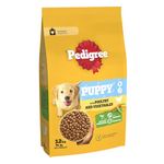 Pedigree Puppy Complete Dog Dry Food for medium size Dogs with Poultry and Rice 12 kg