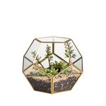 NCYP Geometric Glass Terrarium for Succulent - 17.5x17.5x15 cm Small Ball Shape Glass Display Planter Pot - Wedding Tabletop Centerpiece - Indoor Brass Decor, Gold (No Plants)