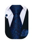 Barry.Wang Blue Paisley Flower Ties for Men Silk Necktie Set Gifts Formal