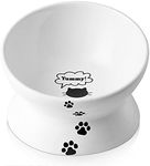 Y YHY Cat Food Bowl 6", Elevated Ti