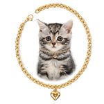 HOWWFALY Dog Collar and Cat Chain Necklace Stainless Steel Adjustable 18K Gold Heart-Shaped Necklace for Small Pets Cats Kitten Puppy (Gold, 7 inch)