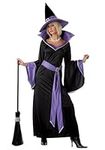 Glamour Witch Incantasia Costume X-