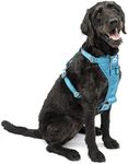 Kurgo Tru-Fit Smart Harness, Dog Ha