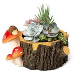 Yiiwinwy Hedgehog Succulent Pots with Drainage Hole，Plant Pots for Indoor Plants/Cactus/Succulent,Indoor Planter Gift for Plant Lover, Decorative Novelty Planter