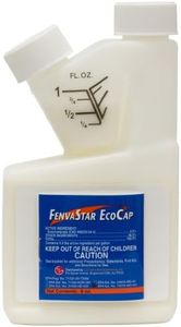 FenvaStar 