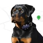 SEEWORLD P1 GPS Dog Cat (6.5lbs+) T