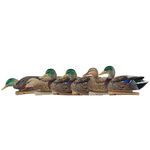 Avian X 8062 Topflight Early Season Mallard Decoys, 6 Pack, Multi, One Size