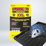 Rataton Glue trap for rats and mice