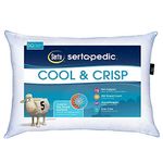 Serta Pillows