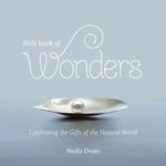 Little Book of Wonders: Celebrating