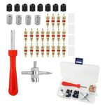 FAST-FX Tyre Valve Repair Kit,Valve Core Remover Tool,Car Bike Tyre Valve Core Tool Set for Easy Tire Maintenance