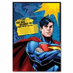 8 DC Comic Book Superman Superhero Children's Party Plastic Gift Treat Loot Bags