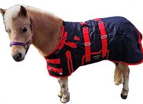 CHALLENGER 54" 600D Miniature Weanling Donkey Pony Horse Foal Winter Blanket 51946