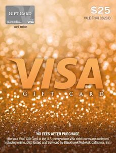 Visa $25 Gift Card (plus $3.95 Purchase Fee)