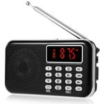 Relaxweex Ghost Box Spirit Hunting Equipment EVP Recorder Paranormal Radio Black FM 87.5-108MHz