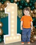 Multipurpose 4ft Marquee Numbers 1 