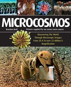 Microcosmo