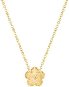 Qinpan 14K