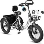ESKUTE T300 Pro Electric Trike for Adults, 1200W Peak, White with Acc