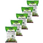 Bloomico Dolomite Powder for Plants - (Limestone Powder) 4.5 kg | Natural Calcium & Magnesium Carbonate for Soil Health & pH Balancing | Ideal for Home Garden and Indoor & Outdoor Plants - (4.5 kg)