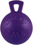 Jolly Pets 8-Inch Tug-n-Toss, Purpl