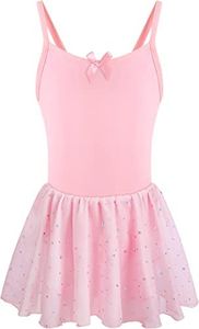 DANSHOW Ballet Leotards for Girls Dance Camisole Dress with Shiny Tutu Skirt(4041-08-XL)