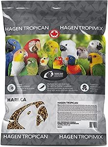 Tropican H