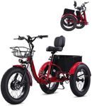 NOMIGO Electric Tricycle for Adult 