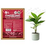 Fungus Gnat Killer Nematodes 10sqm coverage for Indoor Plants - Effective Biological Control, Ideal Gnats Killer Indoor Plants, Comprehensive Scairid Fly Killer for Houseplants