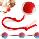 Smart Automatic Rolling Pet Ball, Interactive Cat Toys Rolling Ball, Dog Ball, Motion Activate Fast Rolling on Carpet Toys, Interactive Self Moving Balls Toys, for Large Small Dogs (Red)