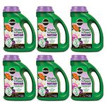 Miracle-Gro 3002210 Shake 'N Feed Rose & Bloom Continuous Release Plant Food