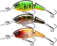 TRUSCEND Fishing Lures Diving Lip D