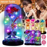 LED Rose Gifts for Women Flowers Rose in Glass Dome Birthday Valentines Day Gift