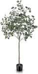 LYERSE 5ft Artificial Eucalyptus Tree in Plastic Nursery Pot, Tall Faux Eucalyptus Stems Fake Plants Silver Dollar Leaves, Artificial Trees for Office House Living Room Home Decor Indoor