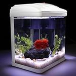Small Fish Tank, 2 Gallon Glass Aqu