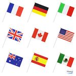 BEMWENAI 50 Countries Flags on Stick,Hand Held Mini National Flags Banners,Party Decorations,Eurovision Euro Football,World Cup,Bar,School Sports Events,Festival Celebrations