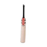 GRAY NICOLLS ACADEMY ENGLISH WILLOW JUNIOR CRICKET BAT - NEW FOR 2022 (4)