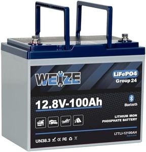 Weize 12V 