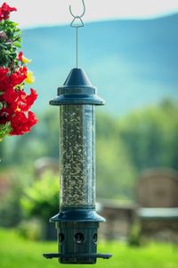 Jacobi Jayne Buster Plus Squirrel-Proof Bird Feeder, Metal, Green