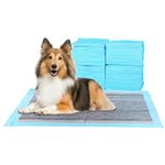 Super-Absorbent Waterproof Dog and Puppy Pet Training Pad, Housebreaking Pet Pad, 100-Count Small-Size, 22"x22", Blue, Charcoal and Scented