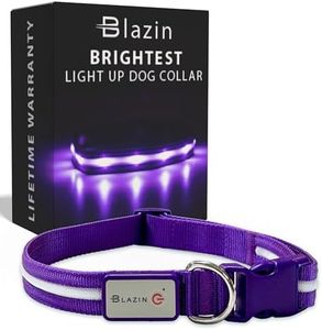 Blazin Brightest Light Up Dog Collars - The Original LED Dog Collar with 1,000 Feet of Visibility - USB Rechargeable Waterproof Dog Collar Light - Dog Lights for Night Walking - USA Brand