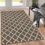 SHACOS Large Doormat 32x47 Indoor O